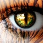 Profile picture of customer tthayer